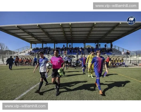 足球入口——点燃激情的起点,走向胜利的门票